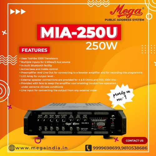 MIA 250u USB/SD Card Player & Recorder with FM
